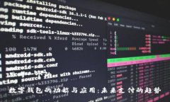 思考一个的数字钱包的功能与应用：未来支付的