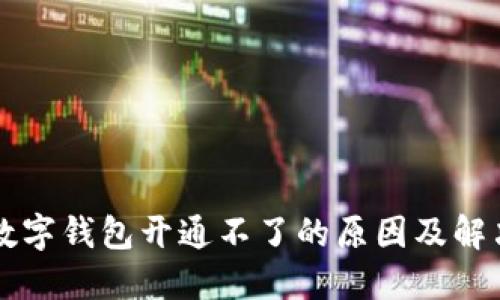 中国数字钱包开通不了的原因及解决方案