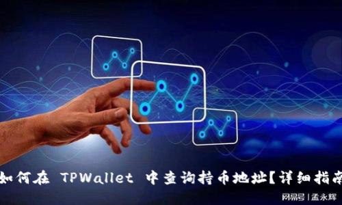 如何在 TPWallet 中查询持币地址？详细指南