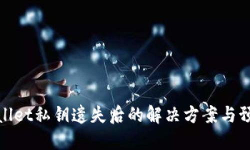 : TPWallet私钥遗失后的解决方案与预防措施