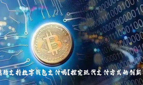 绝味鸭脖支持数字钱包支付吗？探究现代支付方式的创新与便利