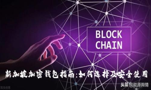 新加坡加密钱包指南：如何选择及安全使用