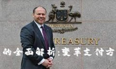 数字钱包的全面解析：变革支付方式的未来