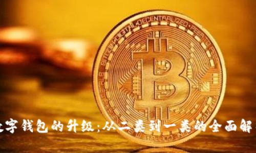 数字钱包的升级：从二类到一类的全面解析