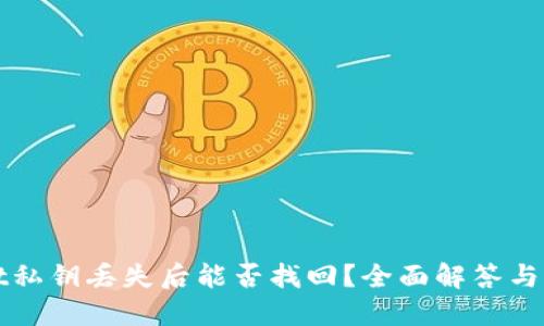TPWallet私钥丢失后能否找回？全面解答与应对策略