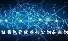 区块链钱包开发中的公钥和私钥详解