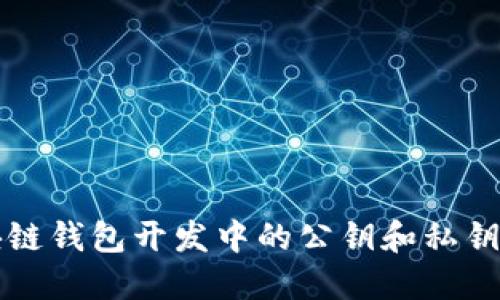 区块链钱包开发中的公钥和私钥详解