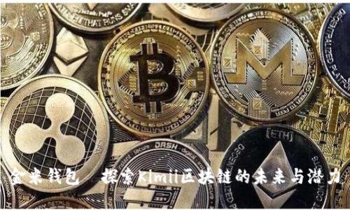 金米钱包—探索Kimii区块链的未来与潜力