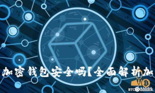 在苹果商城下载加密钱包安全吗？全面解析加密钱包的安全性