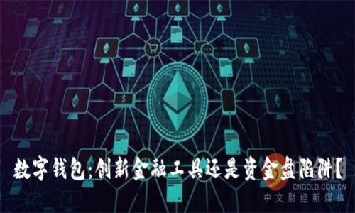 数字钱包：创新金融工具还是资金盘陷阱？