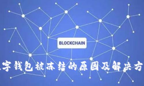 数字钱包被冻结的原因及解决方法