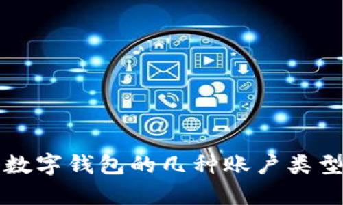 全面解析数字钱包的几种账户类型及其功能