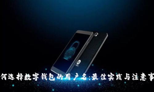 如何选择数字钱包的用户名：最佳实践与注意事项