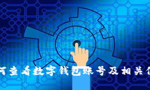 如何查看数字钱包账号及相关信息