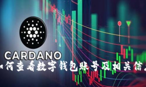 如何查看数字钱包账号及相关信息