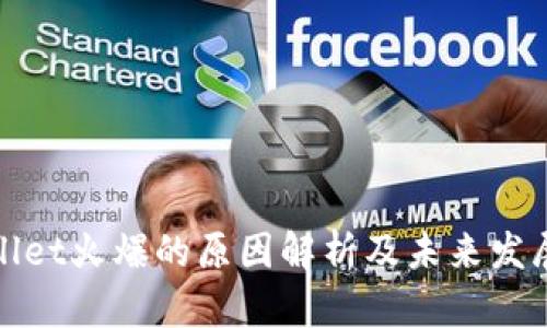 TPWallet火爆的原因解析及未来发展趋势