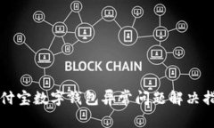 支付宝数字钱包异常问题