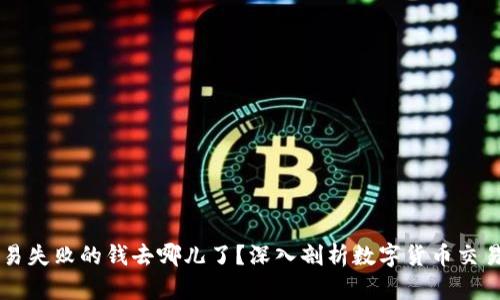 TPWallet交易失败的钱去哪儿了？深入剖析数字货币交易的资金流向