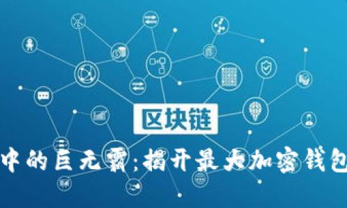 区块链世界中的巨无霸：揭开最大加密钱包的神秘面纱