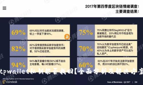 tpwallet私钥能否找回？全面分析及解决方案