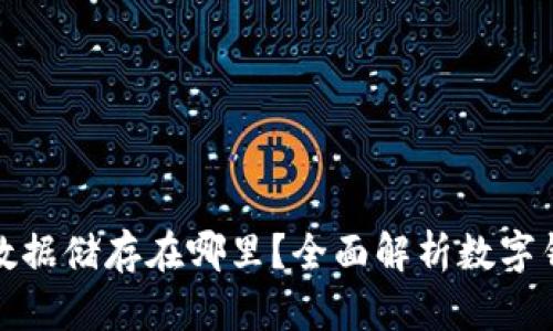 数字钱包数据储存在哪里？全面解析数字钱包的秘密