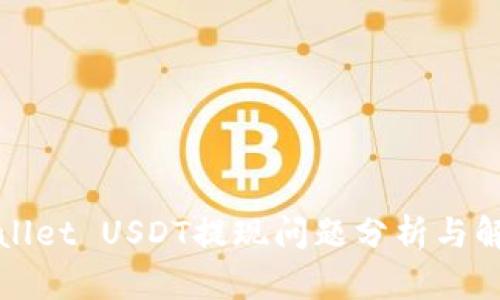: TPWallet USDT提现问题分析与解决方案