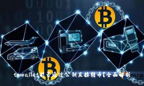 tpwallet能否通过公钥直接转币？全面解析