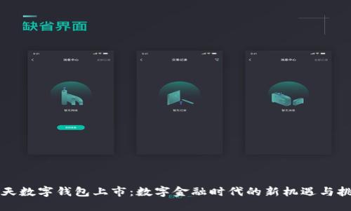 飞天数字钱包上市：数字金融时代的新机遇与挑战