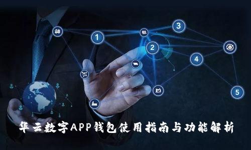 华云数字APP钱包使用指南与功能解析