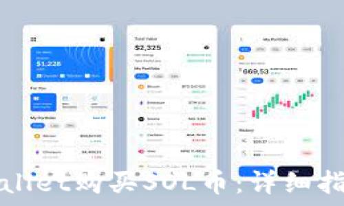   
如何通过TPWallet购买SOL币：详细指南与实用技巧