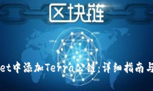 如何在TPWallet中添加Terra公链：详细指南与常见问题解答