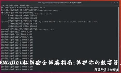 TPWallet私钥安全保存指南：保护你的数字资产