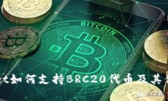 TPWallet如何支持BRC20代币及