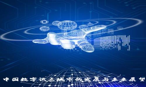 中国数字试点城市的发展与未来展望